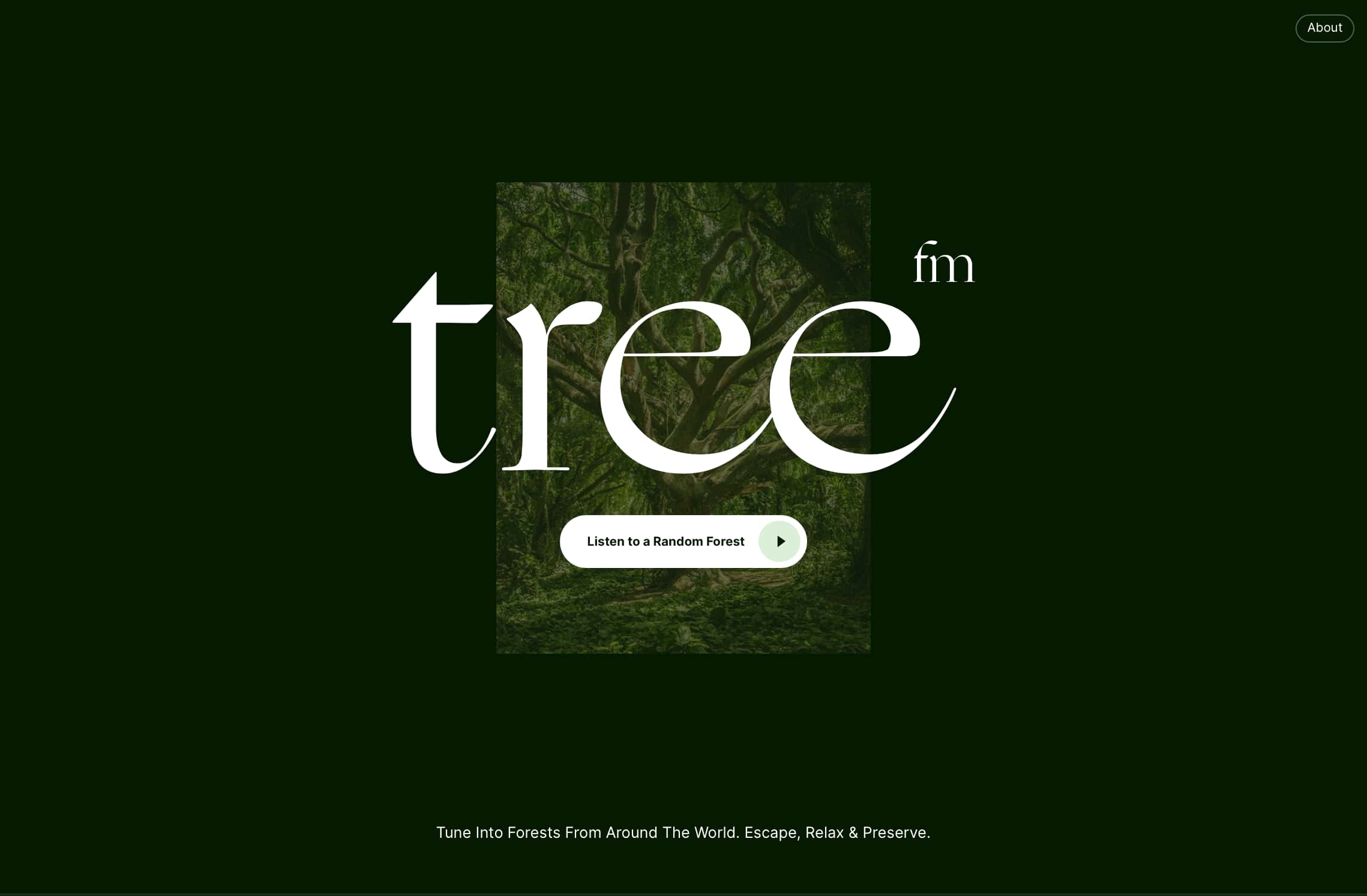 Tree FM