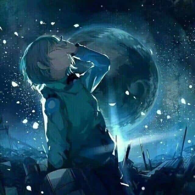 深翼cclmsy